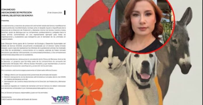 CEDES despide a Directora de Protección y Bienestar Animal; comunidad animalista exige su reinstalación (1)