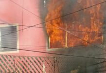 Perrito muere en incendio originado por altar de muertos