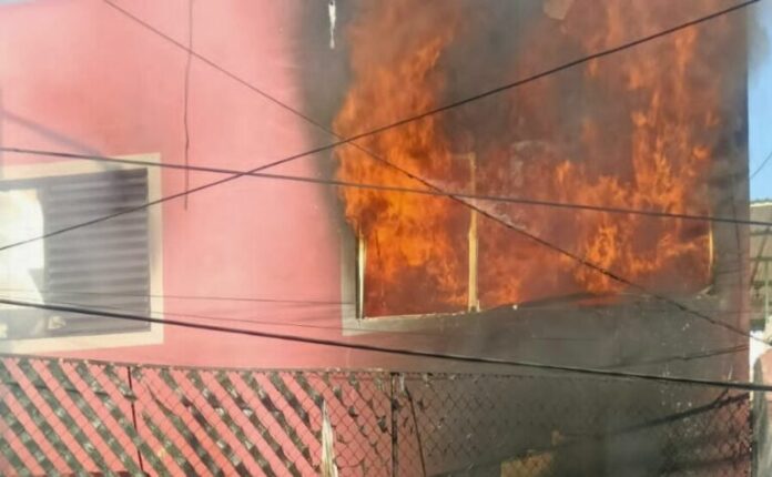 incendio-en-cdmx-en-el-que-murio-un-perrito-768x474