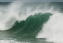 Oleaje de hasta 4 m obliga al cierre de puertos en el Pacífico y Golfo de California