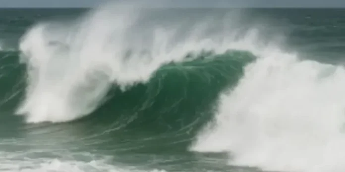 1200_px_740_px_-_2025-11-18t142304_276.jpg_677135684-750x375