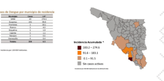 Sonora acumula mil 635 casos de dengue; Guaymas concentra más de la mitad