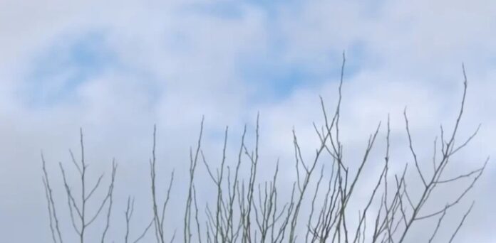 Screenshot_20251105_105309_Gallery