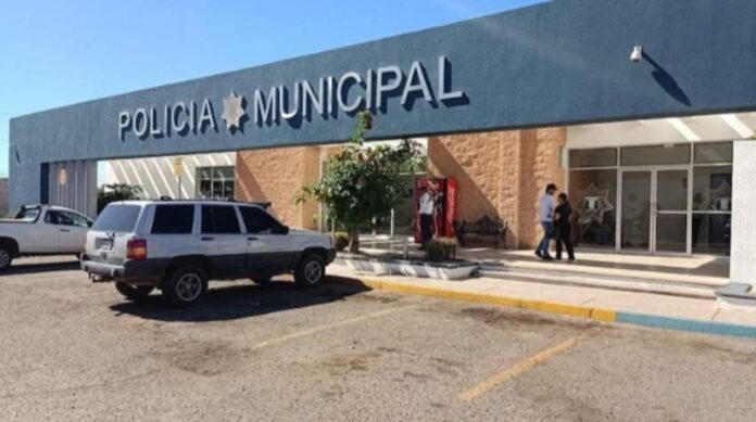 Screenshot_20251124_100334_Gallery