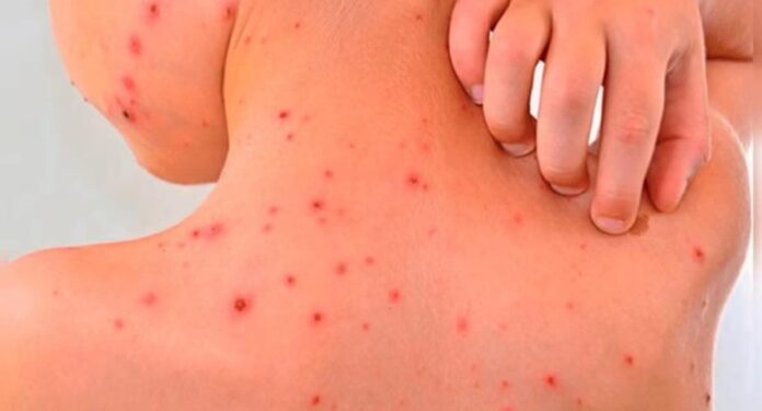 Screenshot_20251211_162018_Gallery