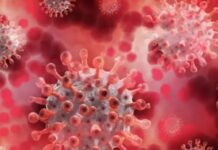 Sonora, libre de casos de “supergripe” H3N2