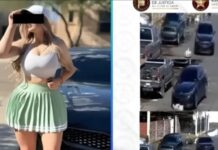 Mujer atropella a perritos en Sonora: podría recibir hasta 4 años de prisión