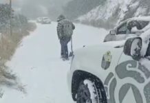 Nieve incomunica a Sonora y Chihuahua; alertan sobre segunda tormenta invernal de la temporada durante fin de semana