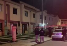 Le quito la vida a su pareja y después se ahorcó al día siguiente en el mismo domicilio