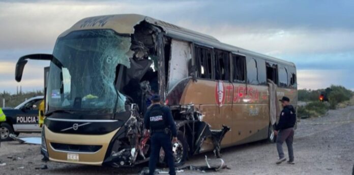 Screenshot_20260213_104003_Gallery