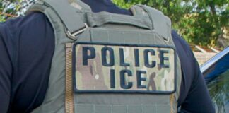 ICE no tiene previsto realizar operativos migratorios durante el Super Bowl, según medios
