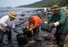 Aseguran que derrame petrolero ya se salió de control; afecta a toda la costa del Corredor Arrecifal del Golfo de México.