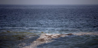 Greenpeace: mancha de crudo en el golfo de México tiene “impacto severo” en el ecosistema