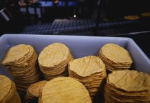 Multarán hasta por 4 mdp por vender tortillas en hieleras o motos en Tamaulipas