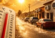 Atención: Entra en vigor subsidio de luz en Sonora; quiénes reciben el descuento