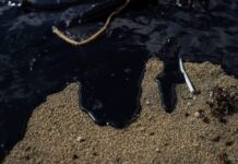 Suman más de 30 toneladas de hidrocarburo recogido de playas de Veracruz