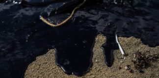 Suman más de 30 toneladas de hidrocarburo recogido de playas de Veracruz