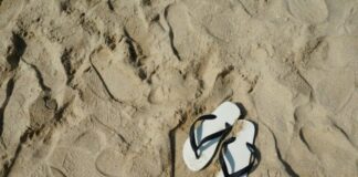 Festividades en marzo 2026: estos son los días feriados oficiales