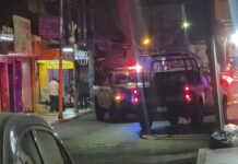 Ataque armado deja cuatro mujeres muertas en mercado de Culiacán, Sinaloa