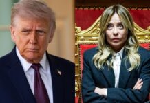 “La inaceptable es ella”, dice Trump sobre Meloni tras críticas por dichos al papa León