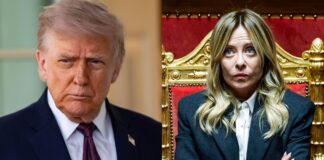 “La inaceptable es ella”, dice Trump sobre Meloni tras críticas por dichos al papa León