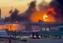 Incendian almacén de Alimentación para el Bienestar en Zacatecas; daños superan los 6 mdp