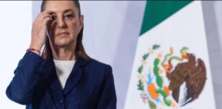 La 4T se derrotó a sí misma: la narcopolítica, impunidad y la corrupción fueron susnémesis