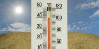 México registra 264 casos de golpe de calor en lo que va de 2026