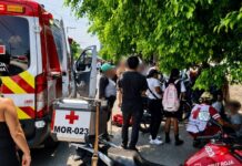 Abejas atacan a 100 personas en telesecundaria de Cuautla, Morelos
