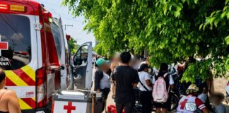 Abejas atacan a 100 personas en telesecundaria de Cuautla, Morelos