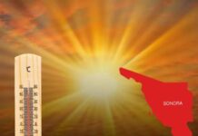 Calor extremo cobra una segunda vida en Sonora; Hermosillo concentra los casos más graves