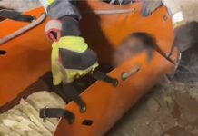 Ejército mexicano rescata con vida a niño de 9 años en Venezuela