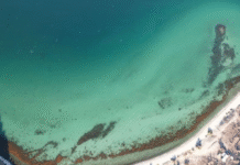 Marina activa búsqueda de la embarcación “Alabama” en Puerto Peñasco, tres personas siguen desaparecidas