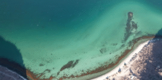 Marina activa búsqueda de la embarcación “Alabama” en Puerto Peñasco, tres personas siguen desaparecidas