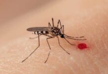 Se reportan 7 muertes y más de 3 mil casos de dengue en el país