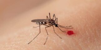 Se reportan 7 muertes y más de 3 mil casos de dengue en el país