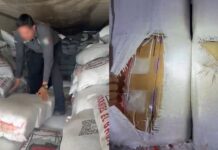 Aseguran más de tres toneladas de metanfetamina en Sonora