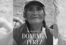 La asesinaron por 90 pesos y vendía cemitas para sobrevivir: el crimen de una abuelita de 83 años que conmociona a Puebla