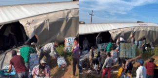 Rapiña tras volcadura de tráiler con agua en la carretera México 15, cerca de Sinaloa y Sonora