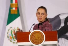 “Vemos las redes sociales y pensamos que esa es la realidad”, se queja Sheinbaum de la difusión de noticias falsas con IA y bots
