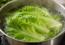 Secretaría de Salud descarta casos de cyclospora en Sonora