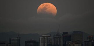 Eclipse lunar 2026: cómo y dónde ver el último gran espectáculo astronómico del año