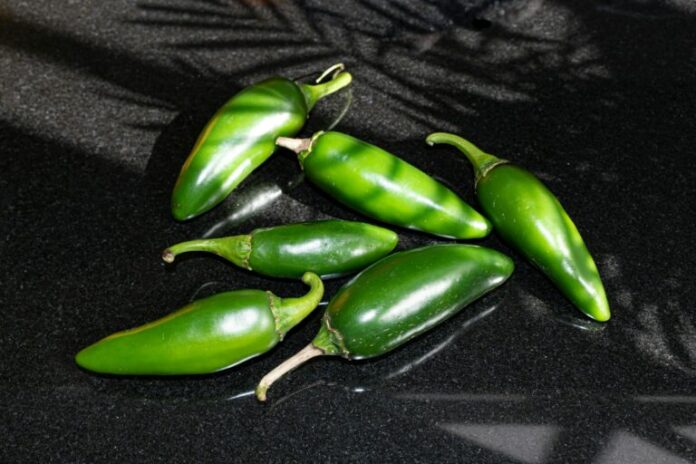 jalapenos-sinaloa-salmonela-eeuu-mexico-768x512