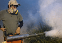 Sonora se convierte en epicentro nacional del dengue: supera los 1,860 casos y reporta 5 muertes